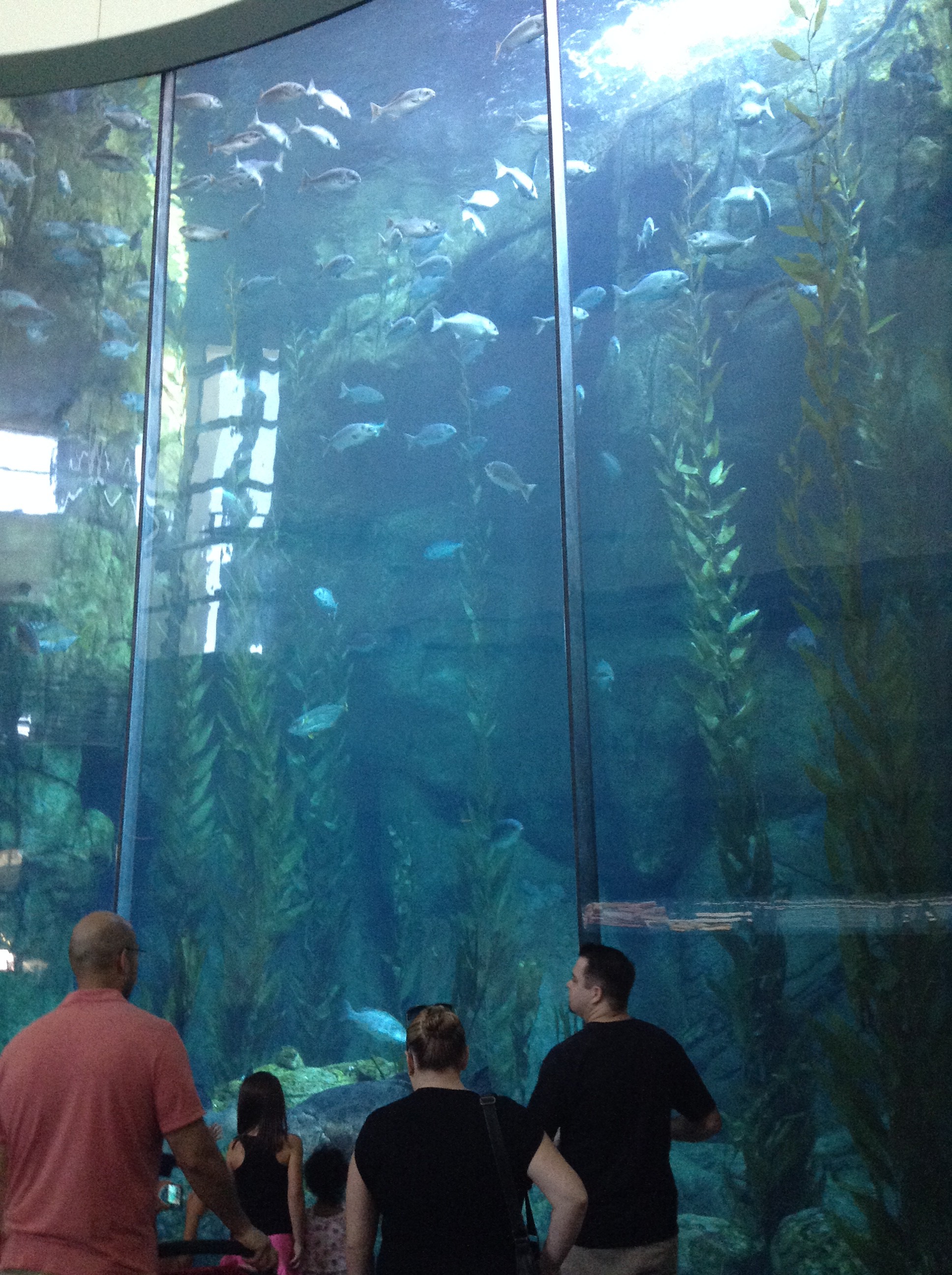 Big Tank