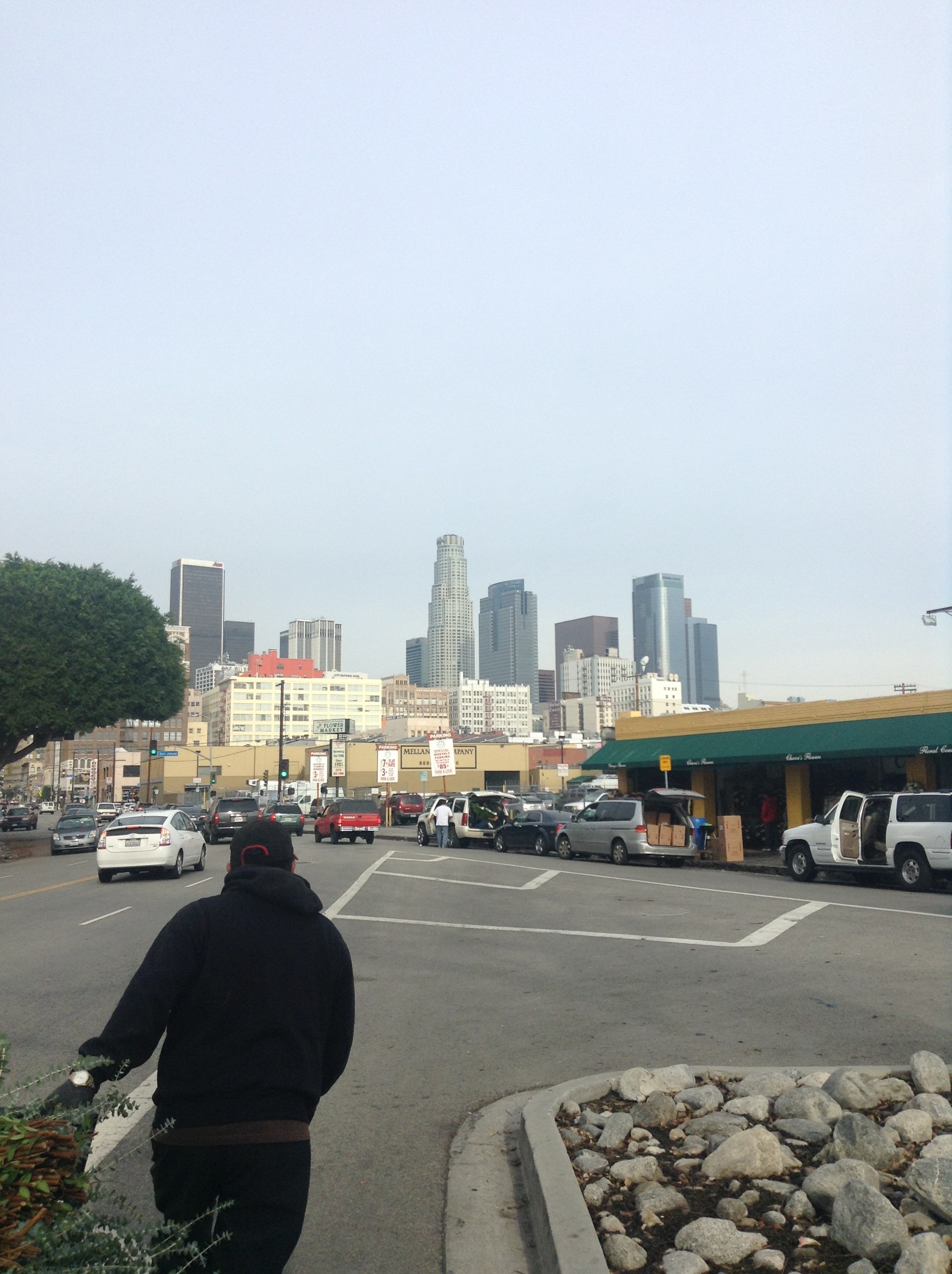 City Skyline