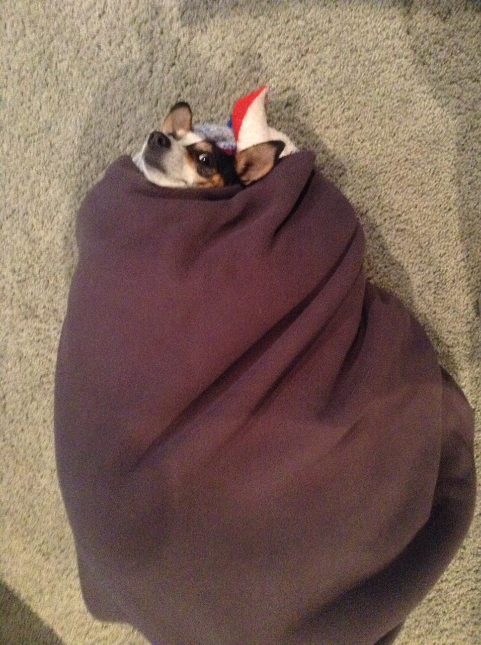 Anika Wrap