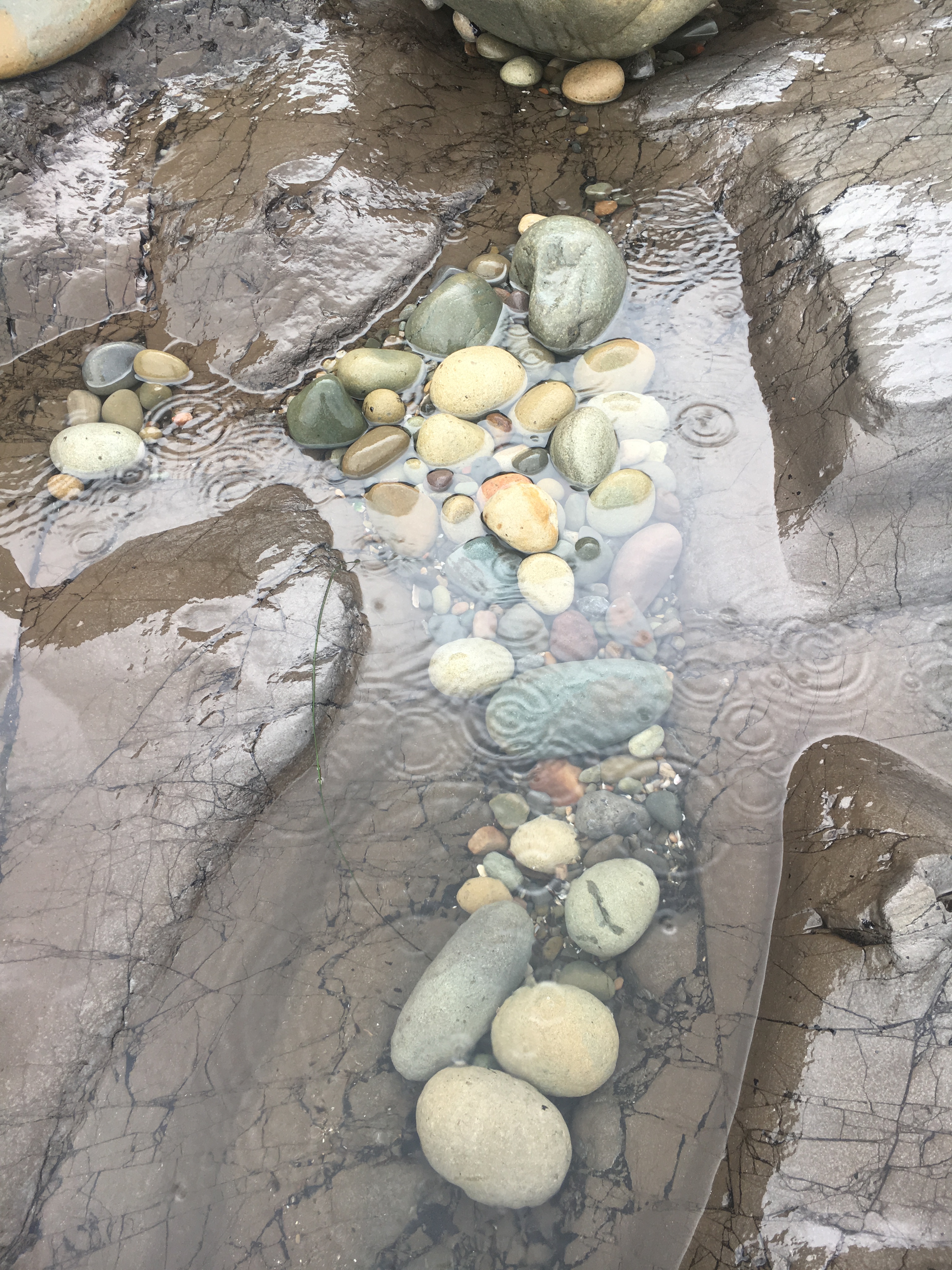 tidepool