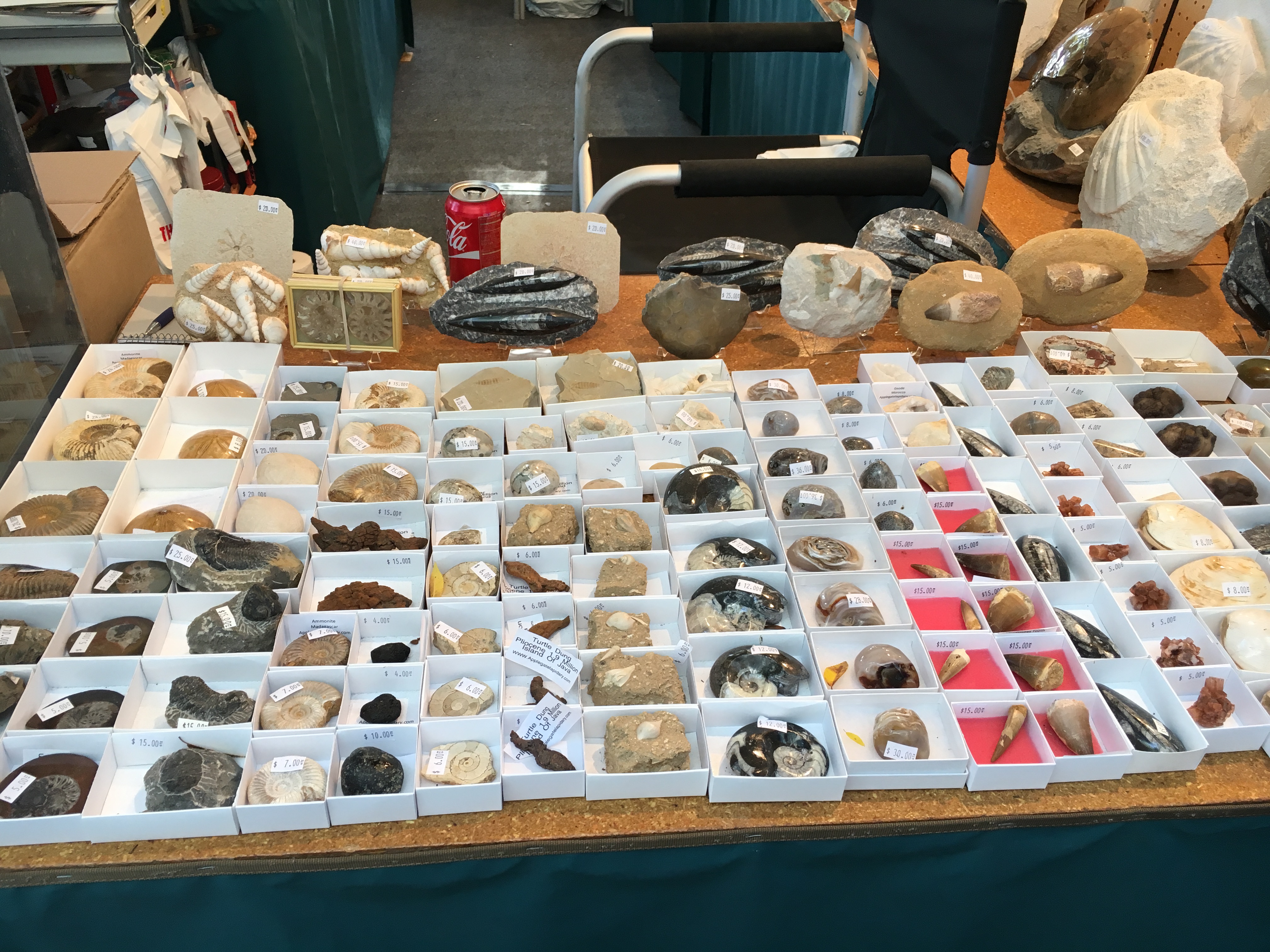 rocks