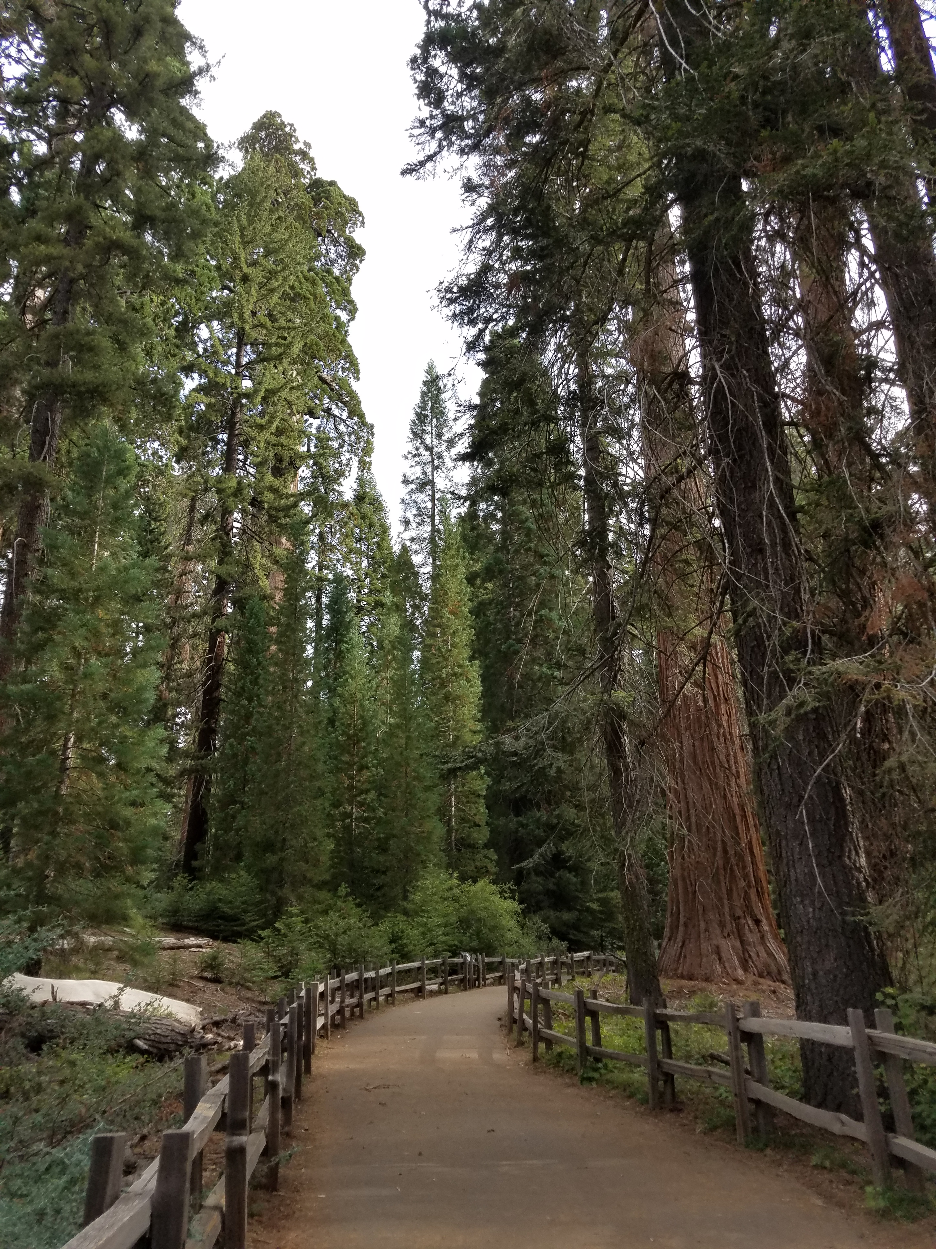 path