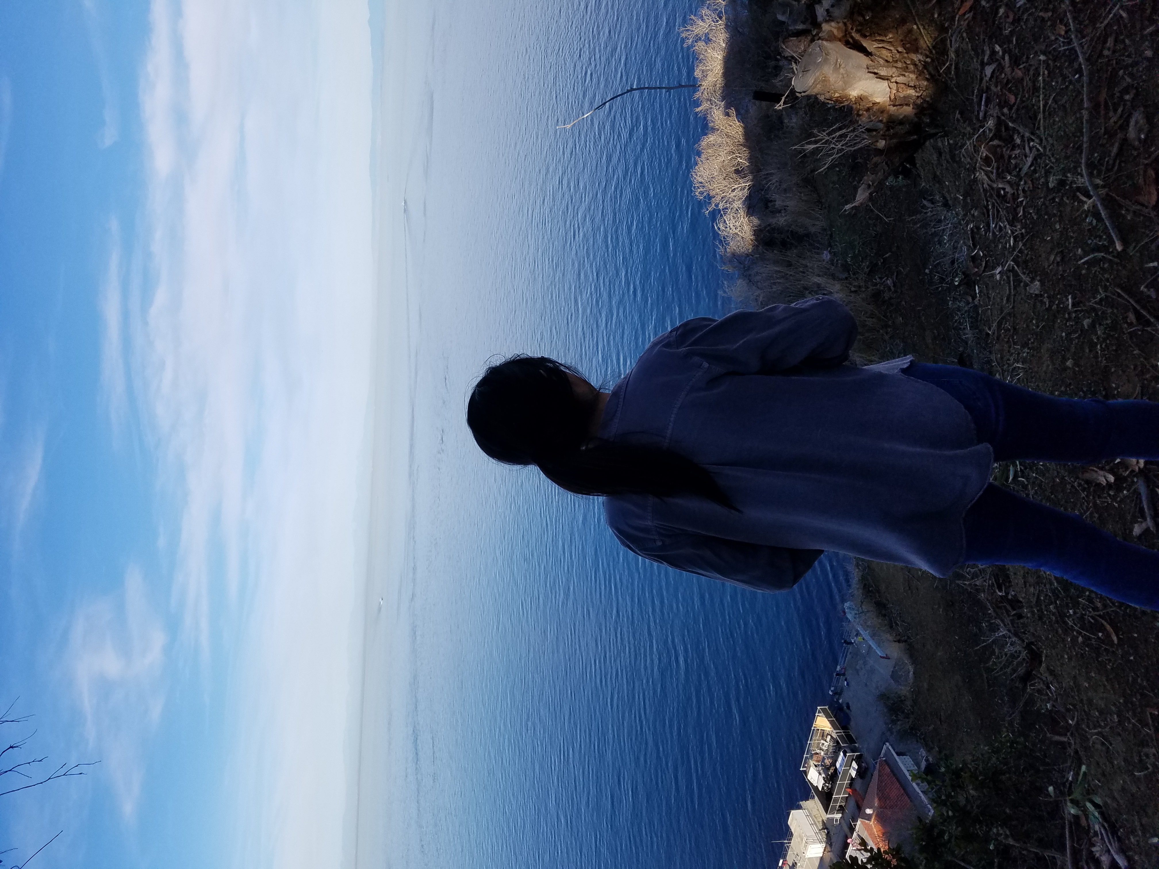 ocean-view