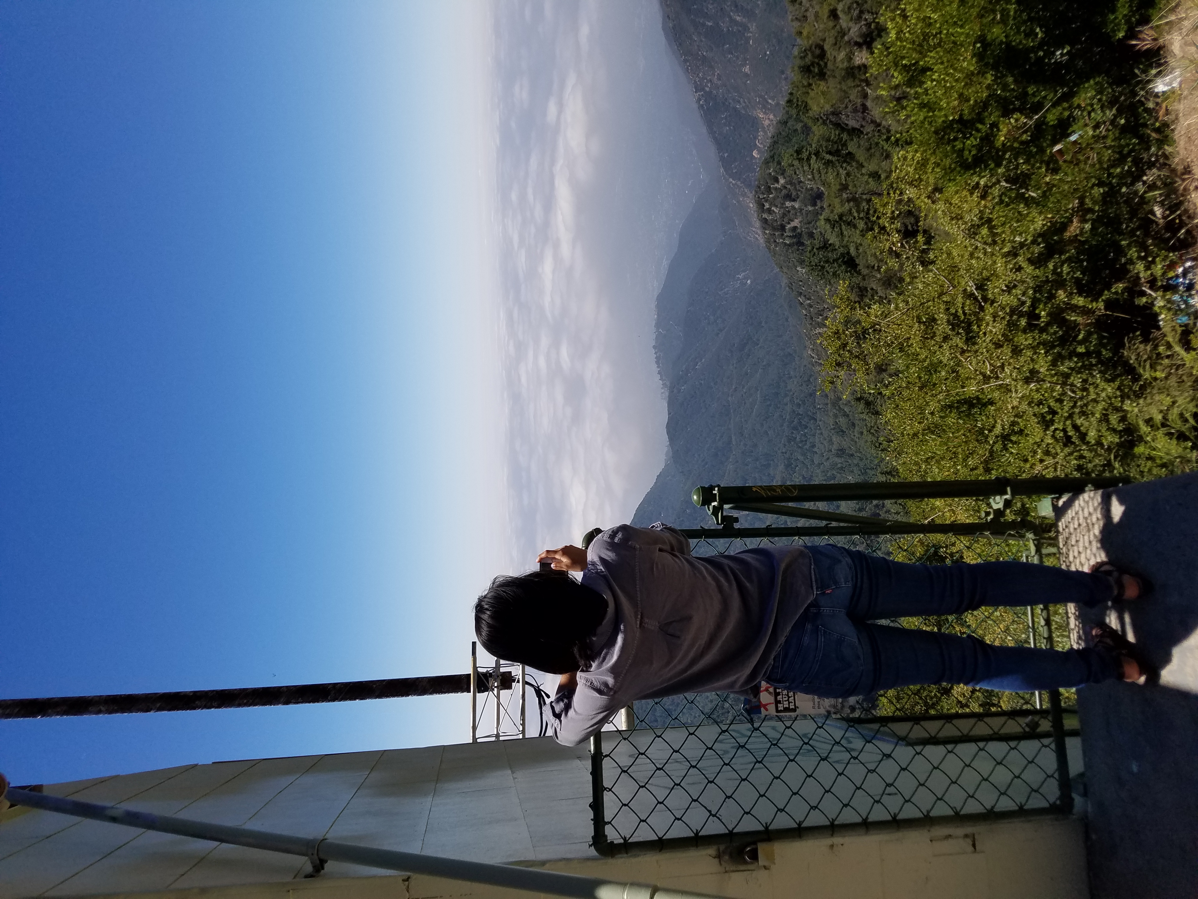 view