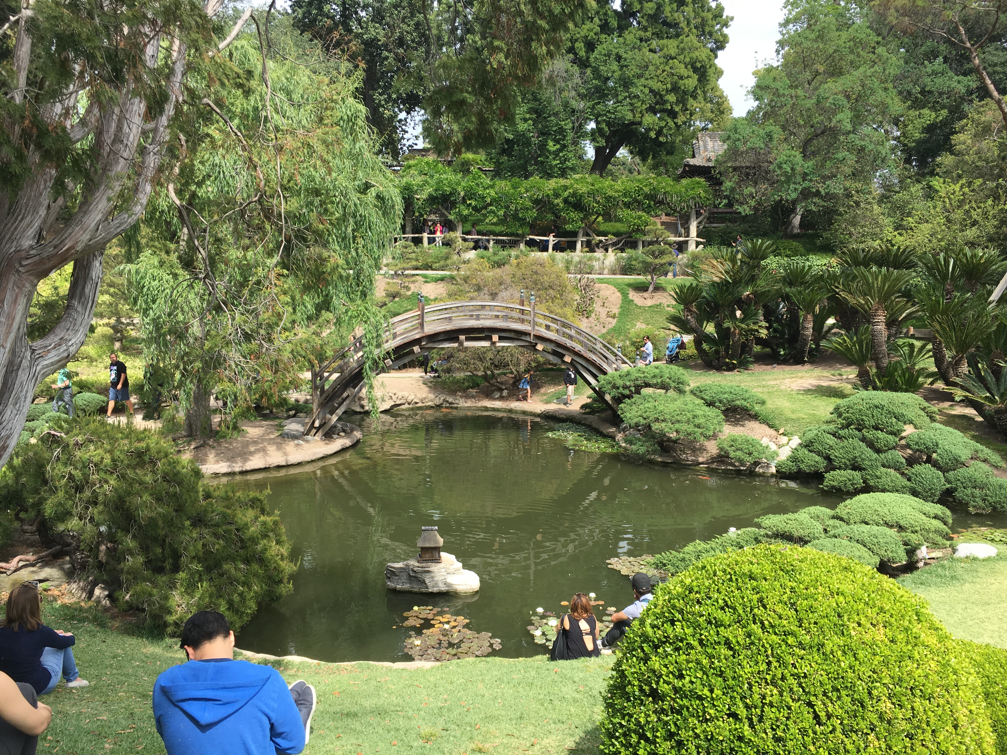 bridge