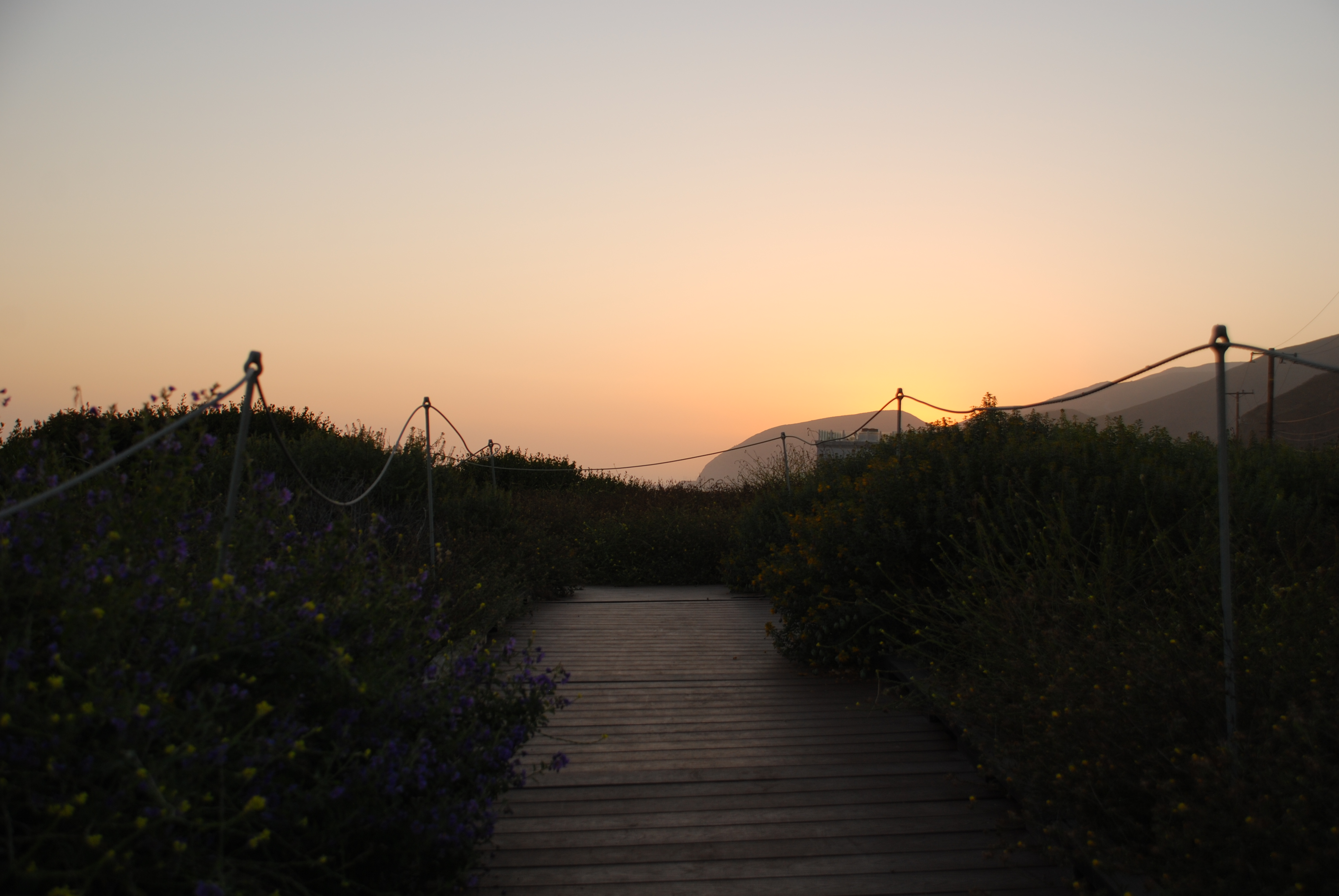 boardwalk