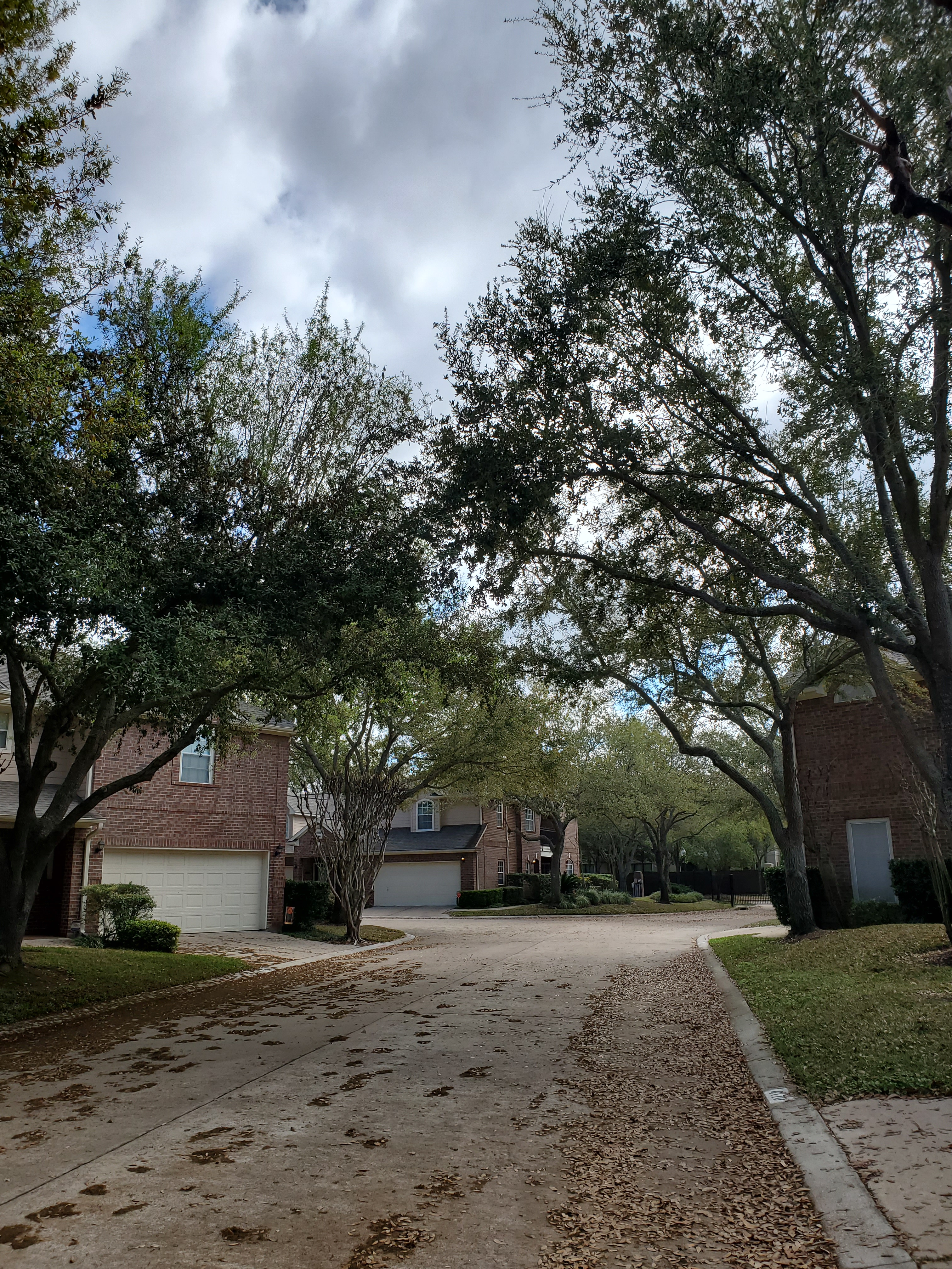 neighborhood