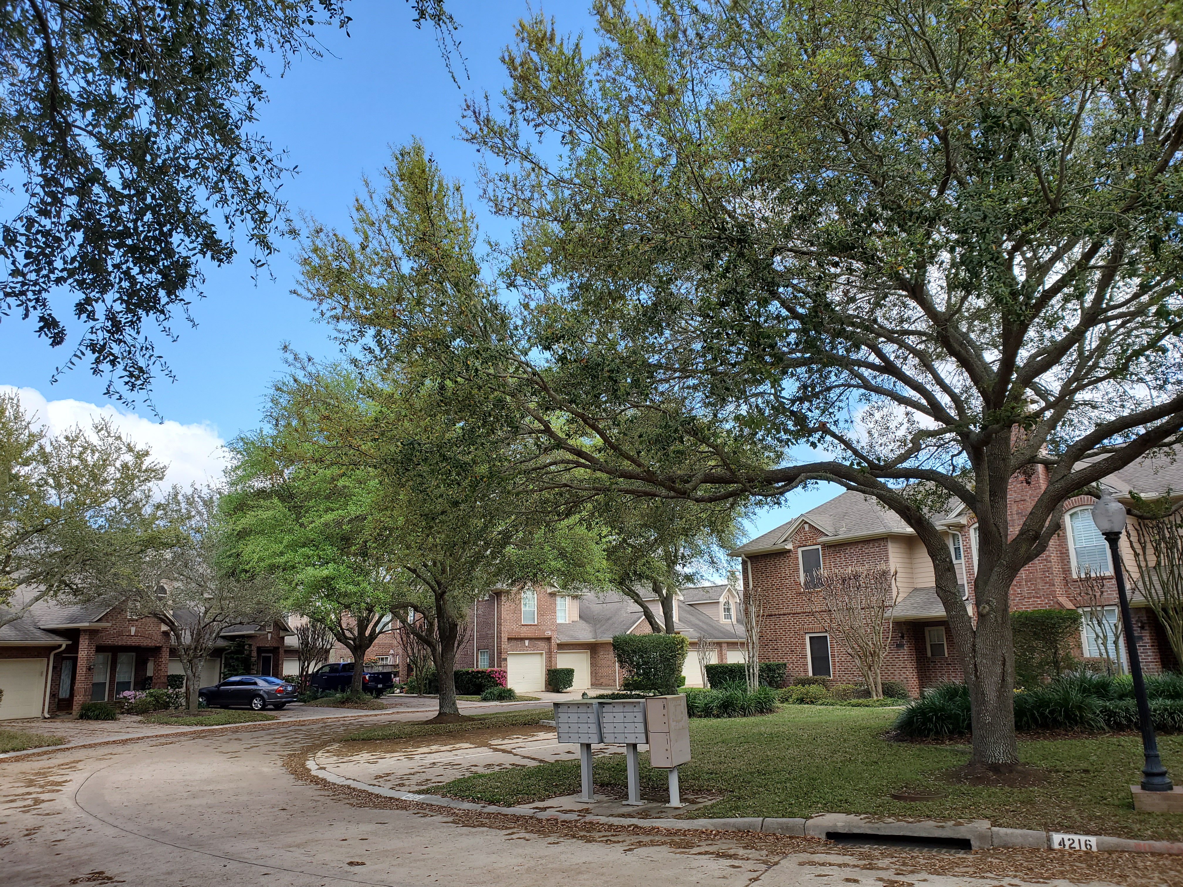 houses