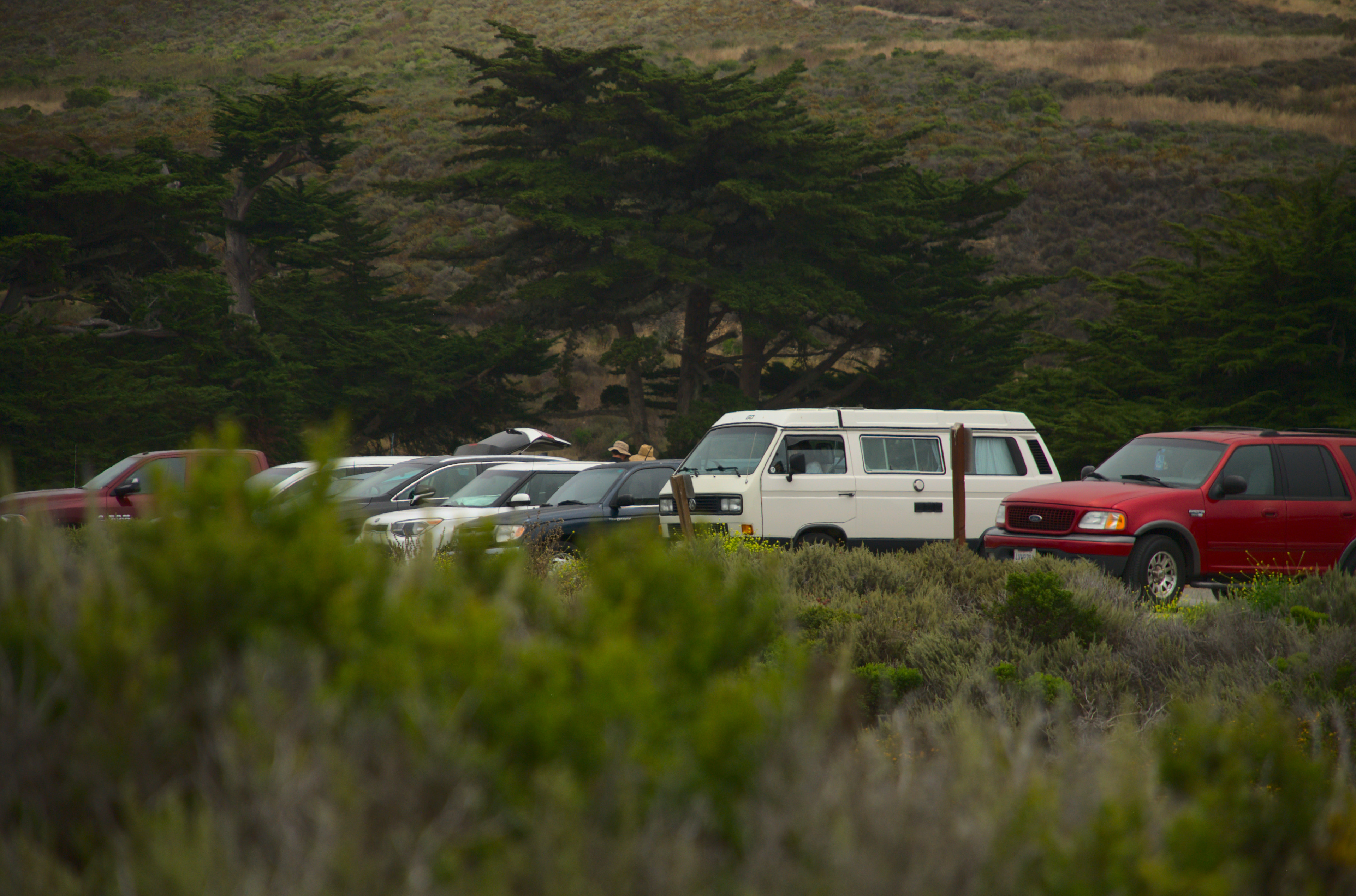 cars