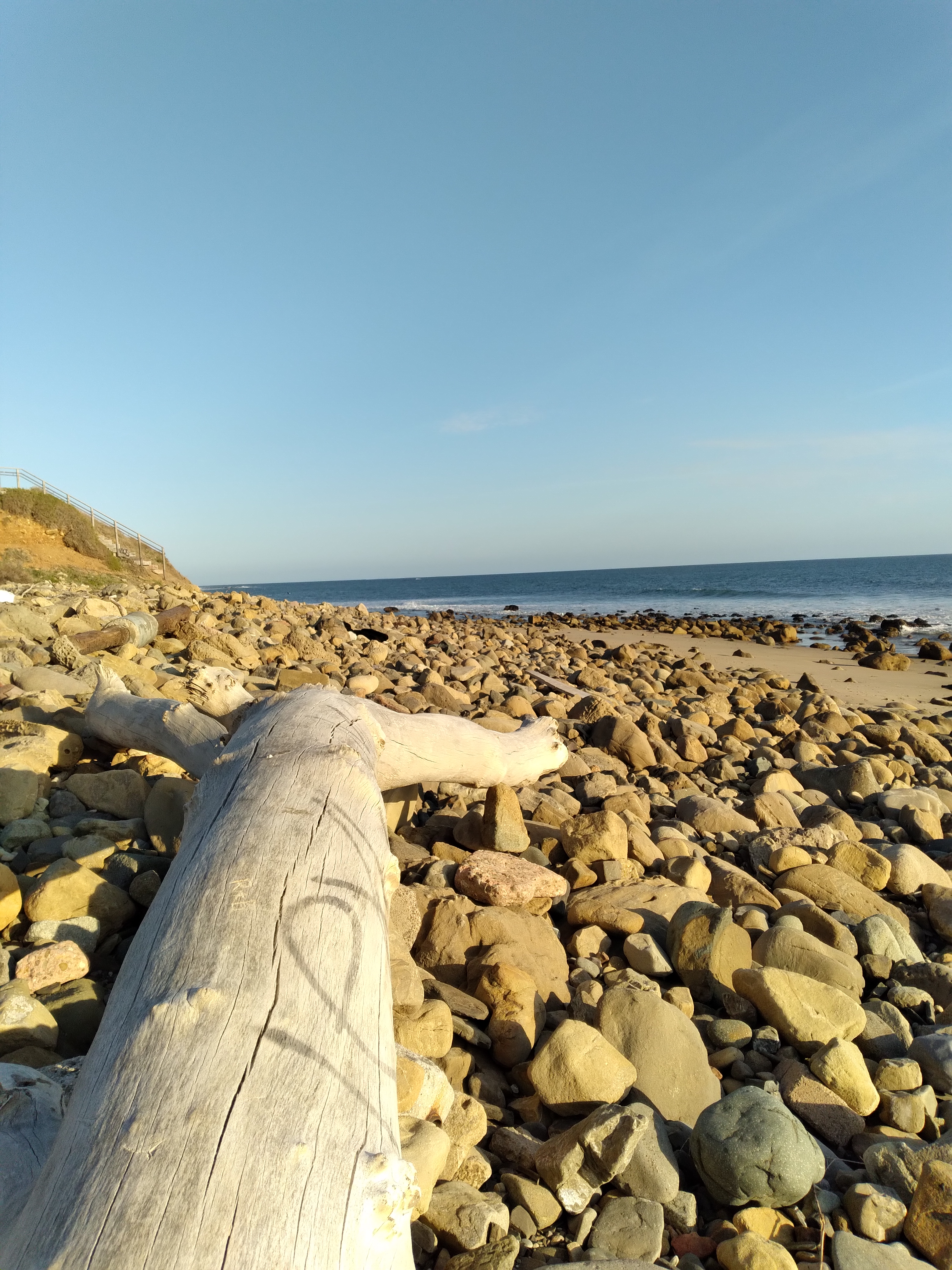 drift-wood