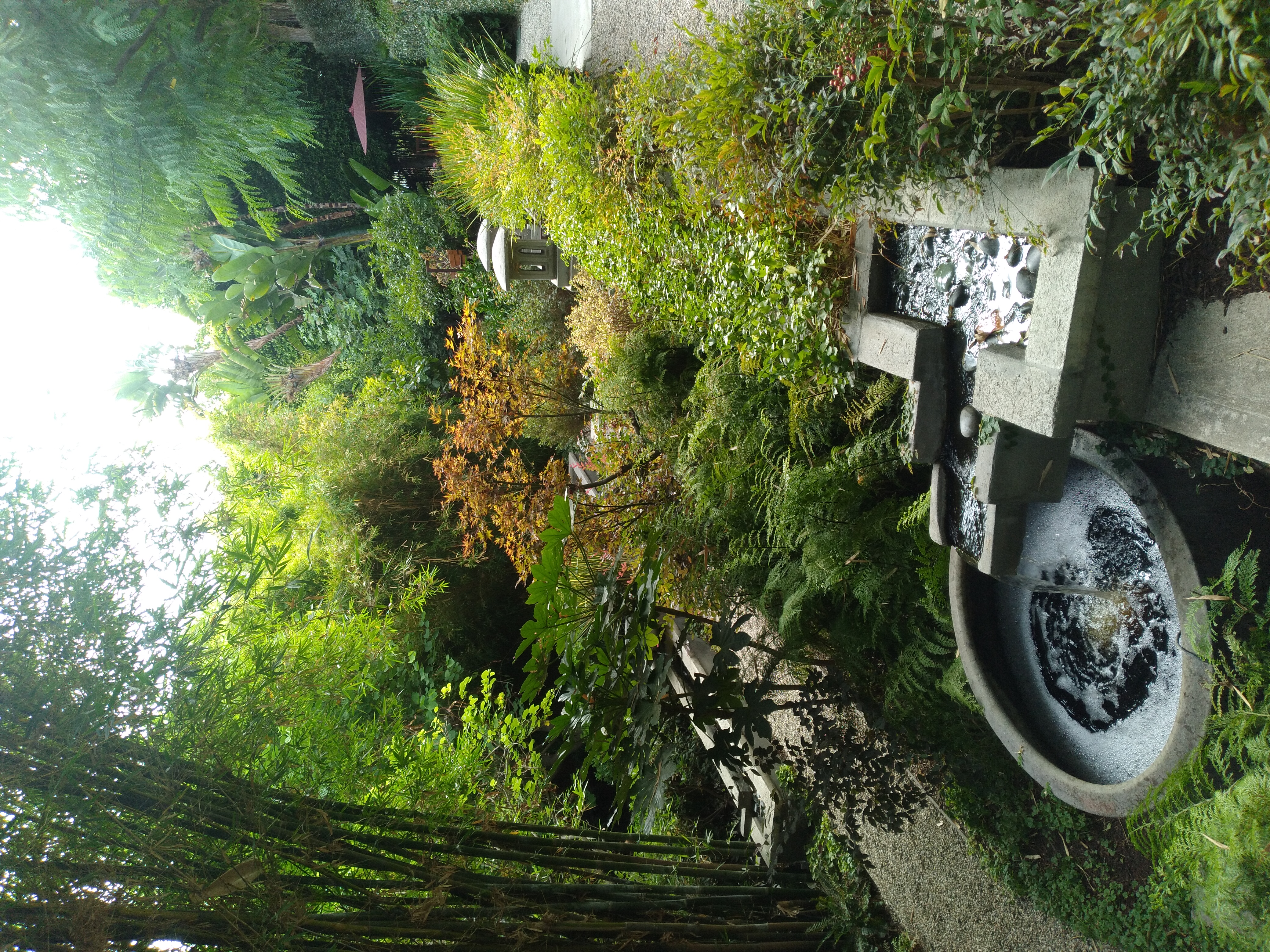 garden