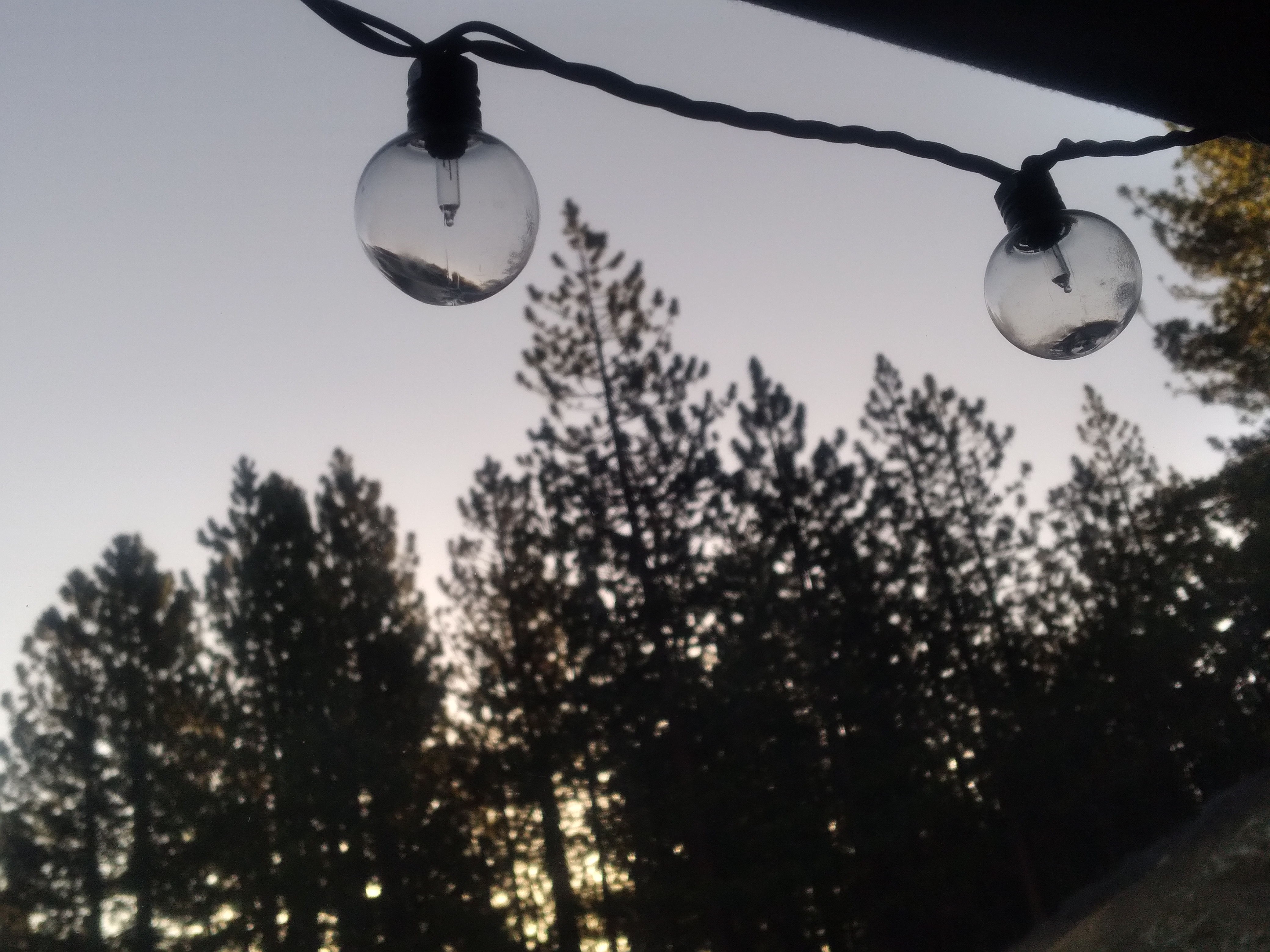 lights