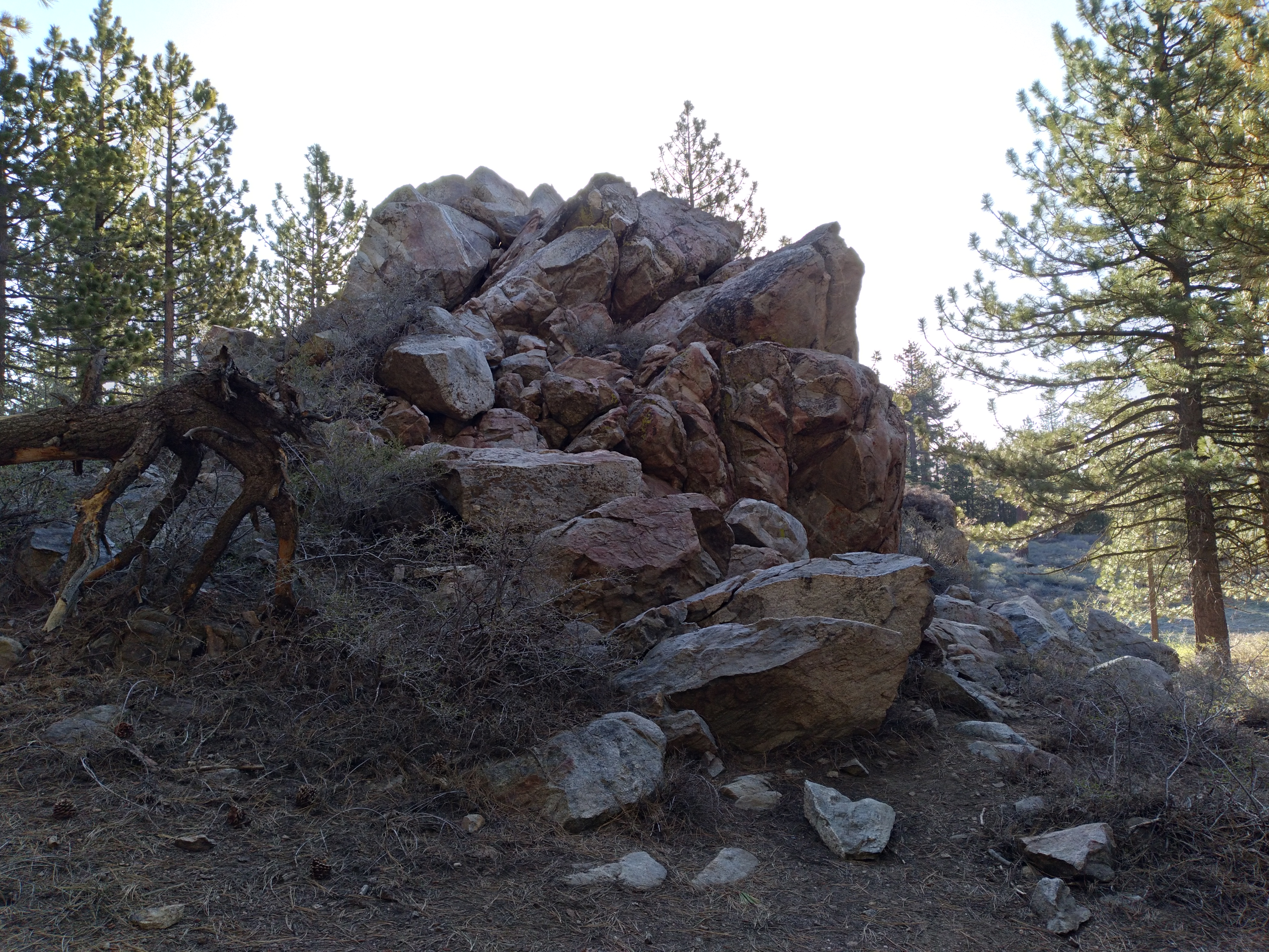 rocks