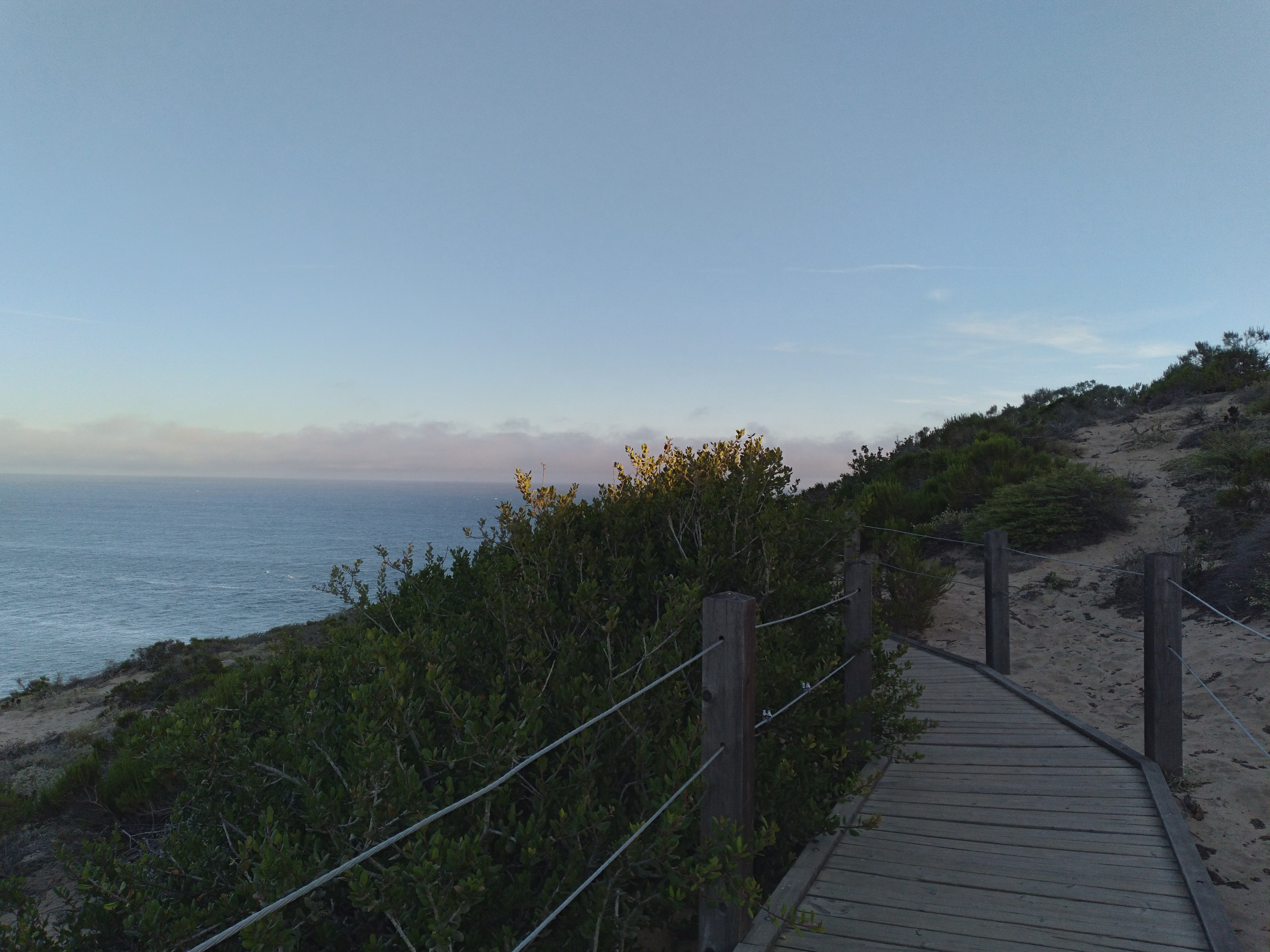 view