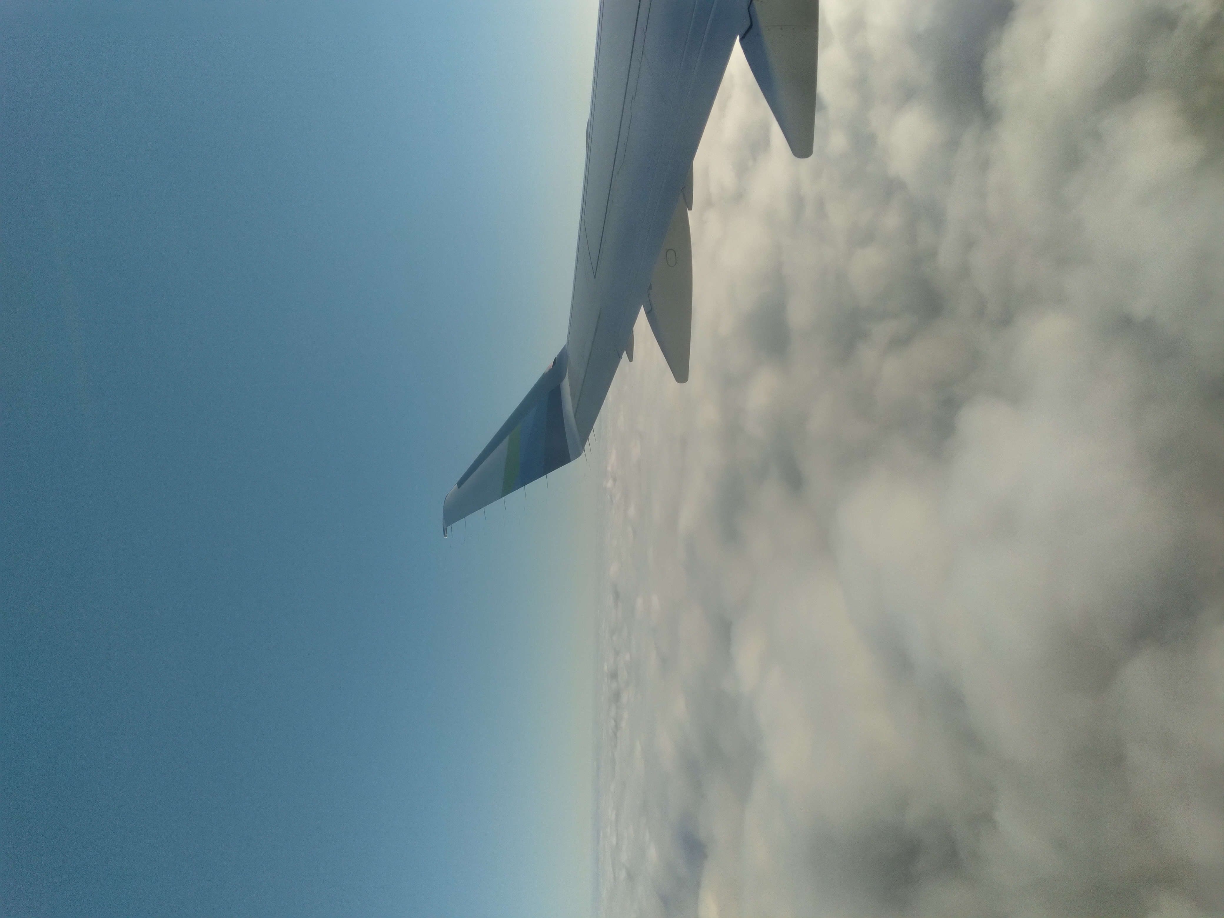 flight
