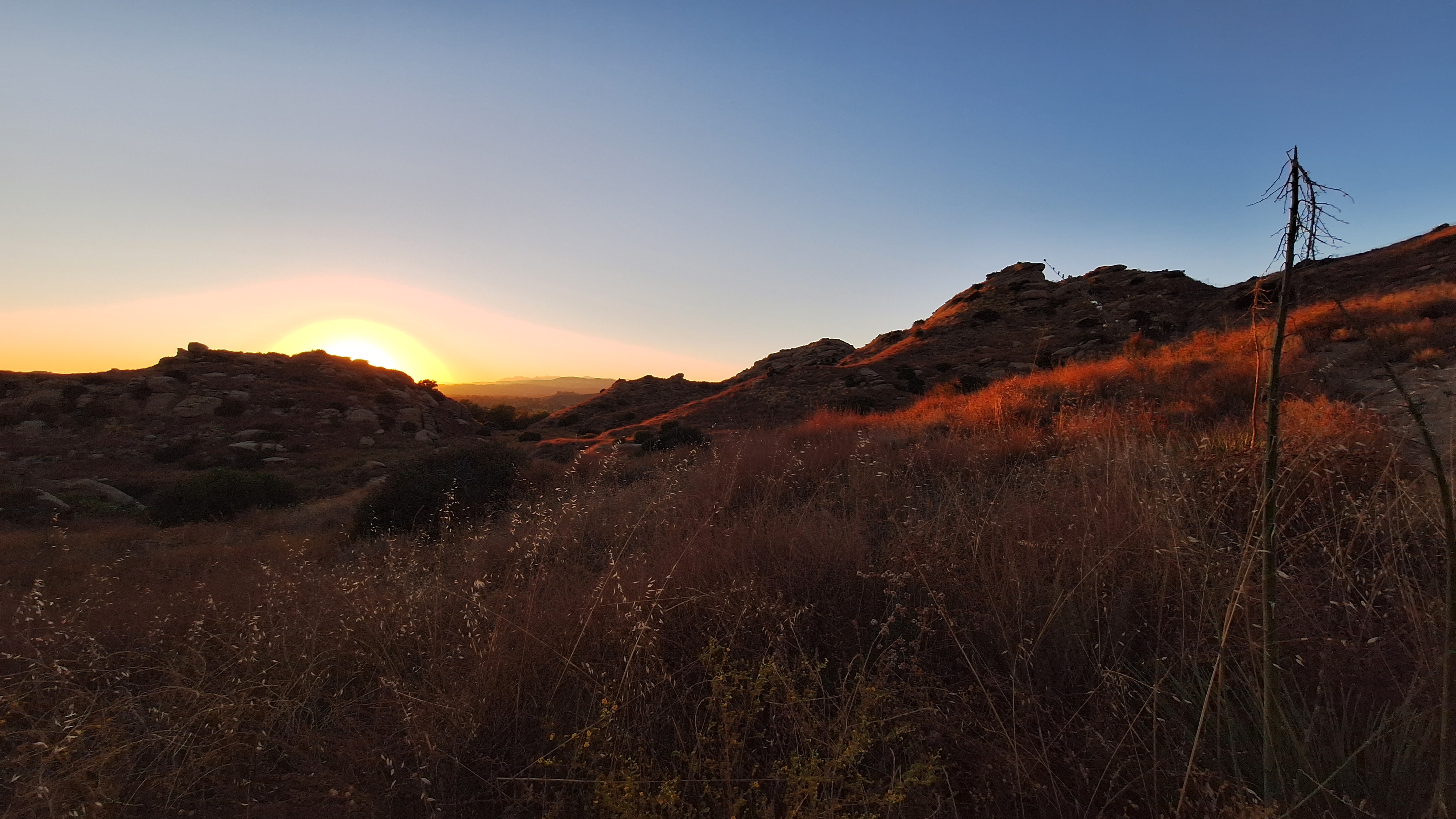 sunset