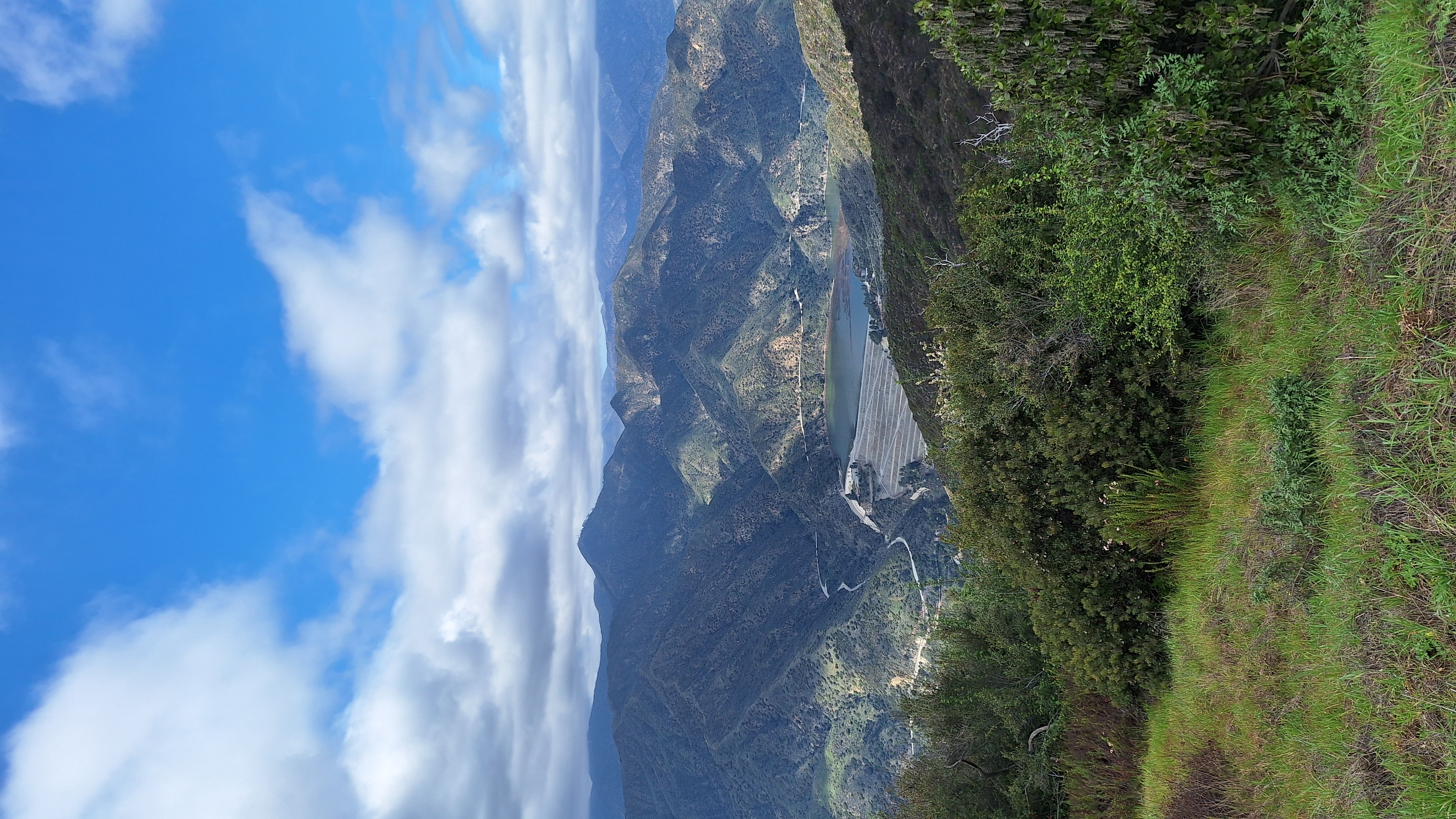 view